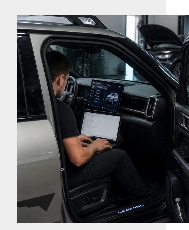 Русификация BYD Leopard 3 в Тайшете по цене от 20666 р. | ФастМобиль-Тшт